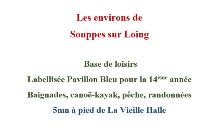 Souppes-sur-Loing A La Vielle Halle מראה חיצוני תמונה